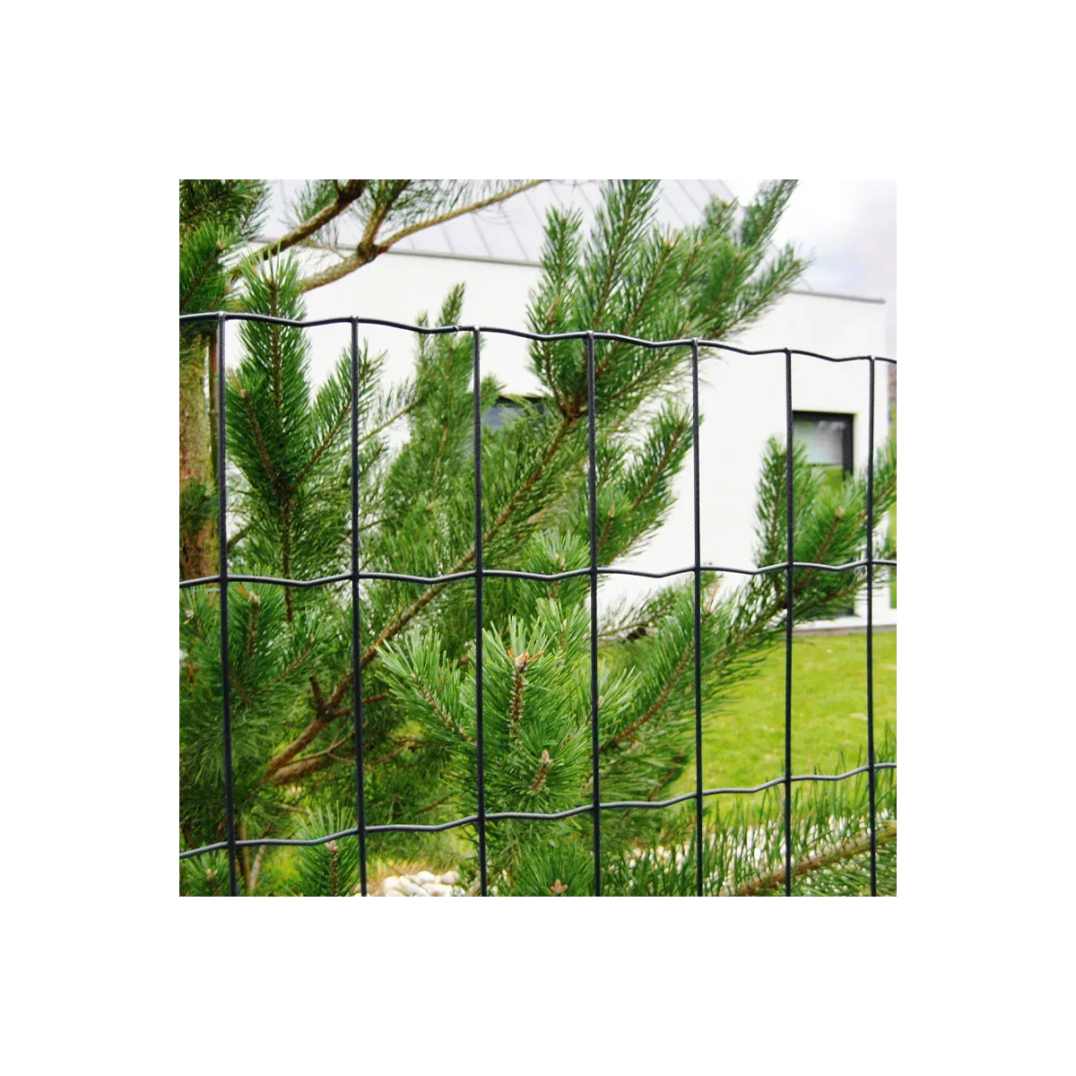 Grillage soudé BRICO maille 100x50 mm - fil Ø2,2 mm