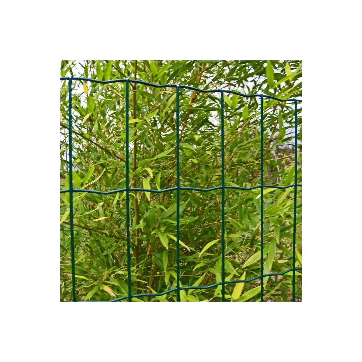 Grillage soudé BRICO maille 100x50 mm - fil Ø2,2 mm