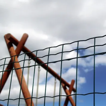 Grillage soudé PRO maille 100x50 mm - fil Ø2,5 mm