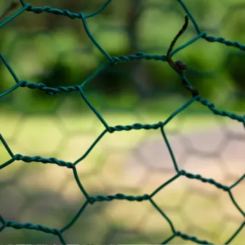 Grillage pour abri poule : Triple torsion plastifié | Majalo