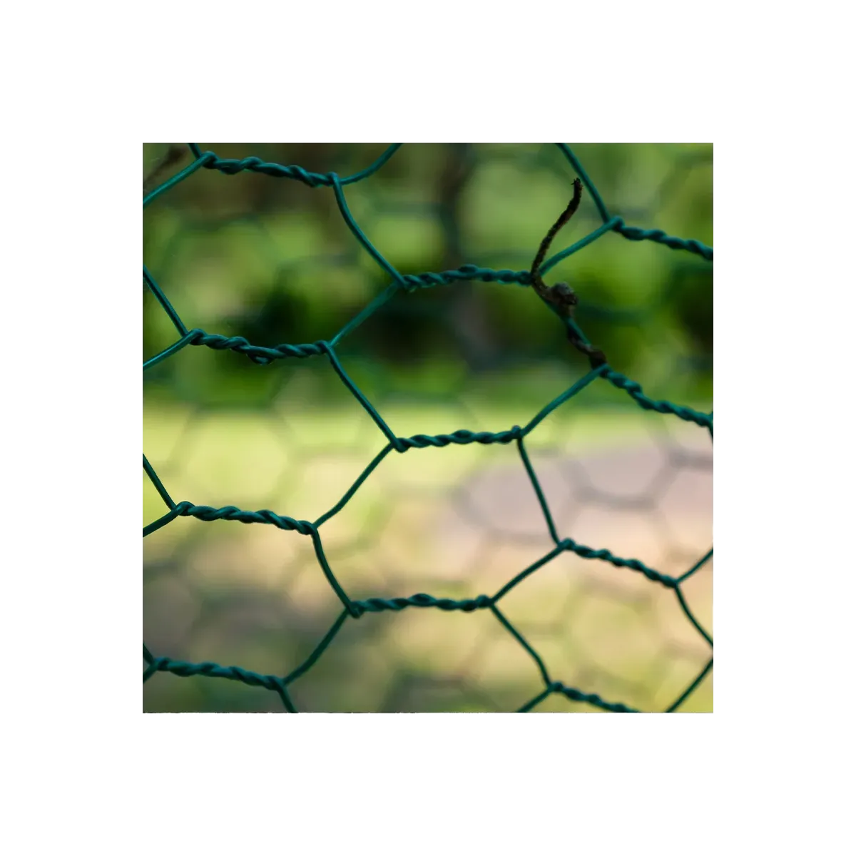 Grillage pour abri poule : Triple torsion plastifié | Majalo