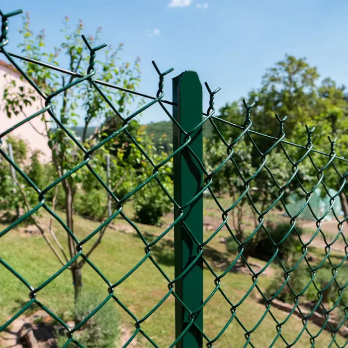 Poteau de clôture T plastifié