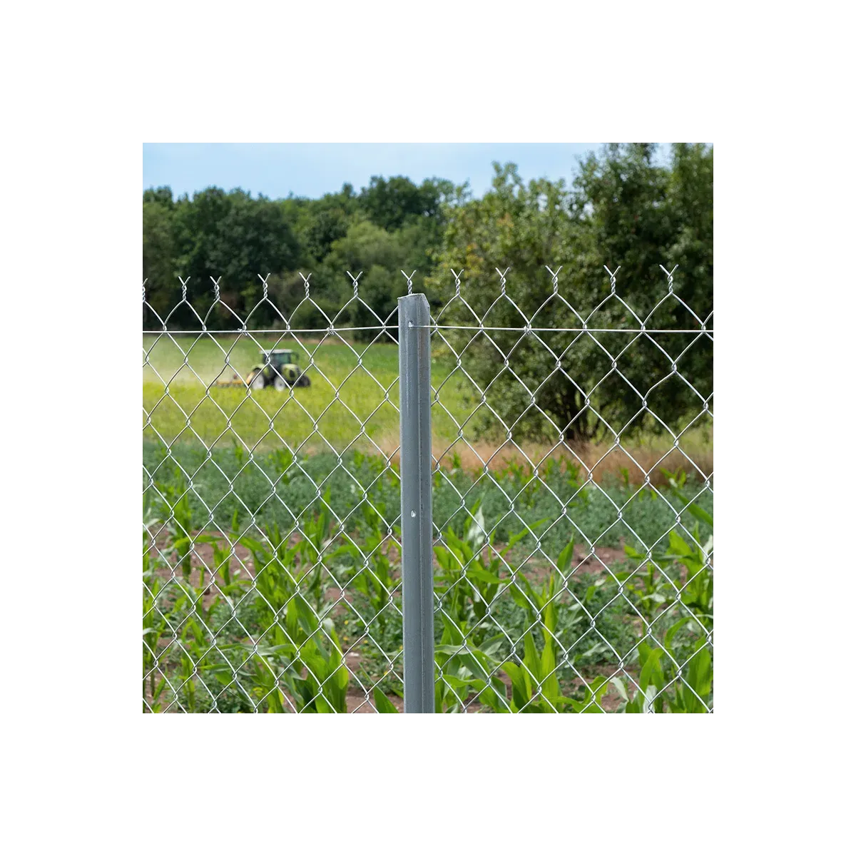 Poteau de clôture T galvanisé