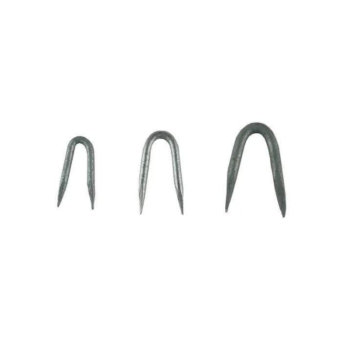 Crampillon acier galvanisé - boîte 1 kg