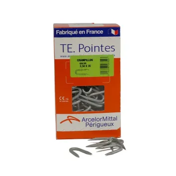 Crampillon acier galvanisé - boîte 1 kg