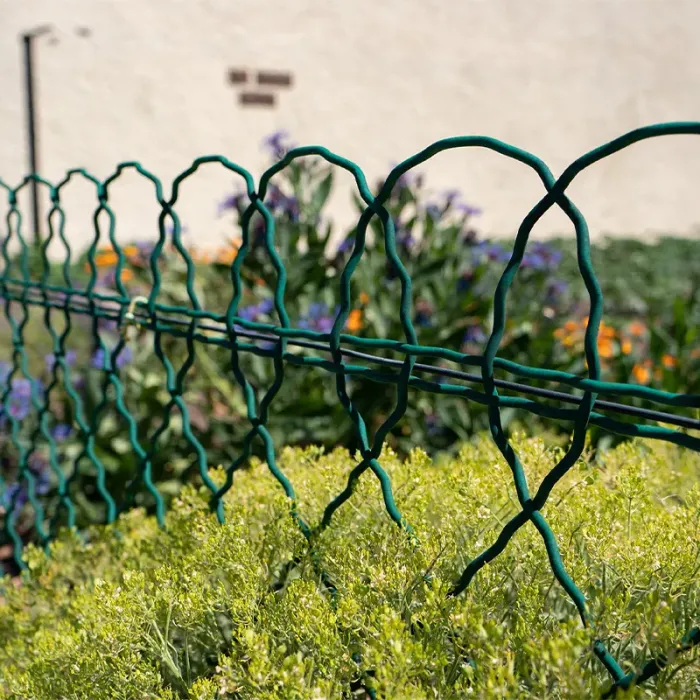 Bordure Parisienne plastifiée
