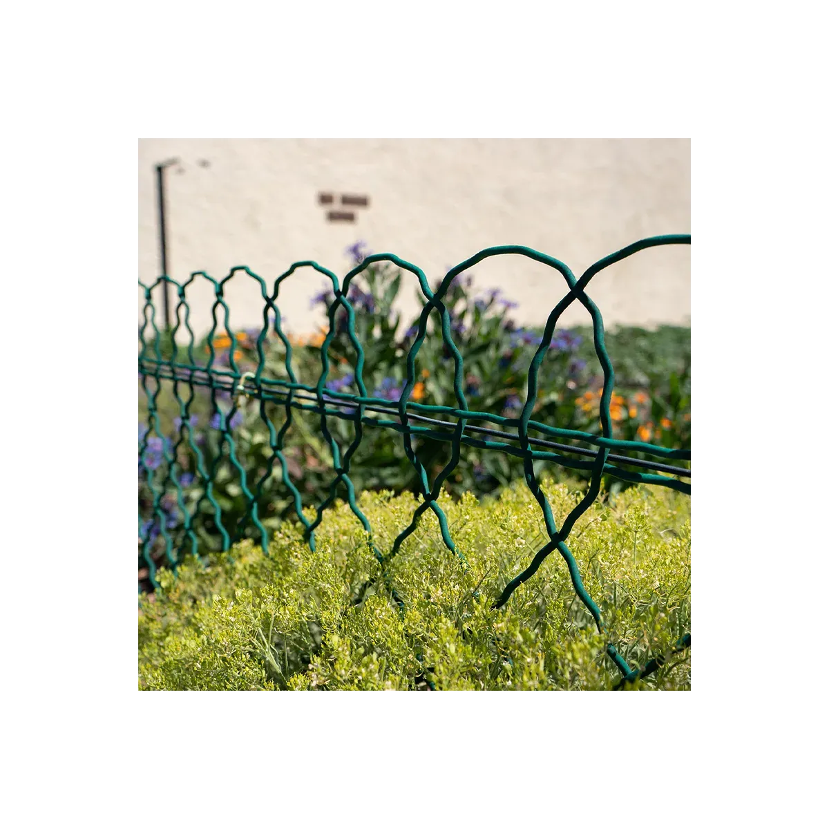 Bordure Parisienne plastifiée