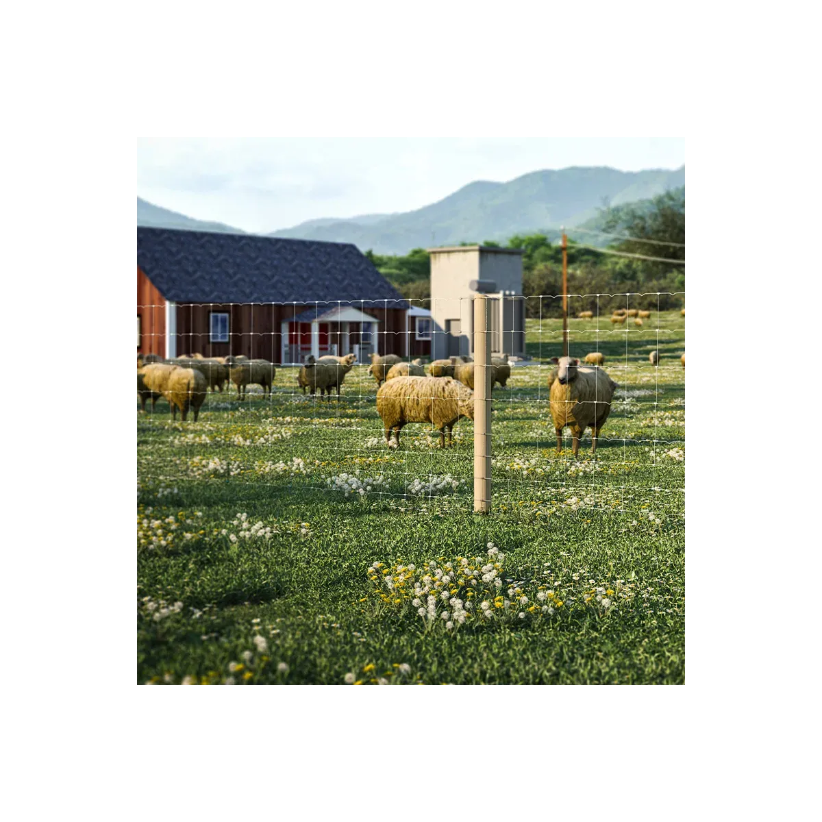 Enclos à moutons délimité par une clôture nouée galvanisée PRIMO