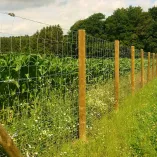 Installation d'un grillage noué galvanisé PRIMO sur une parcelle agricole