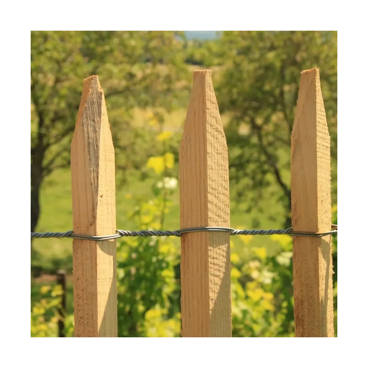 Ganivelle châtaignier 4-5 cm