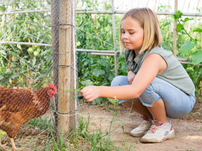 Sécurisez vos animaux avec nos clôtures agricoles adaptées